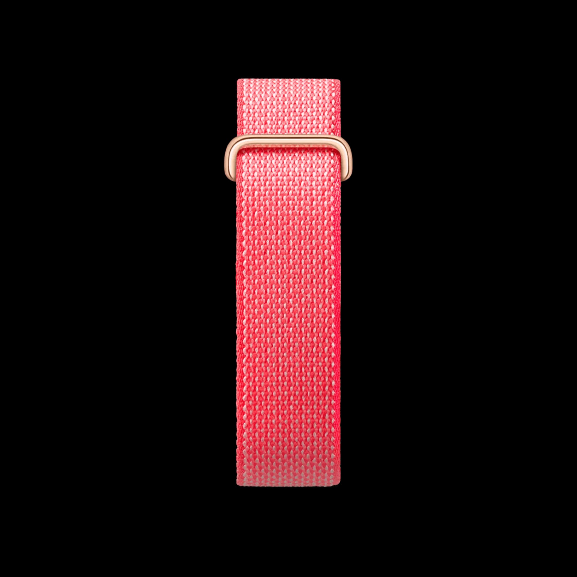 Google Fitbit Air