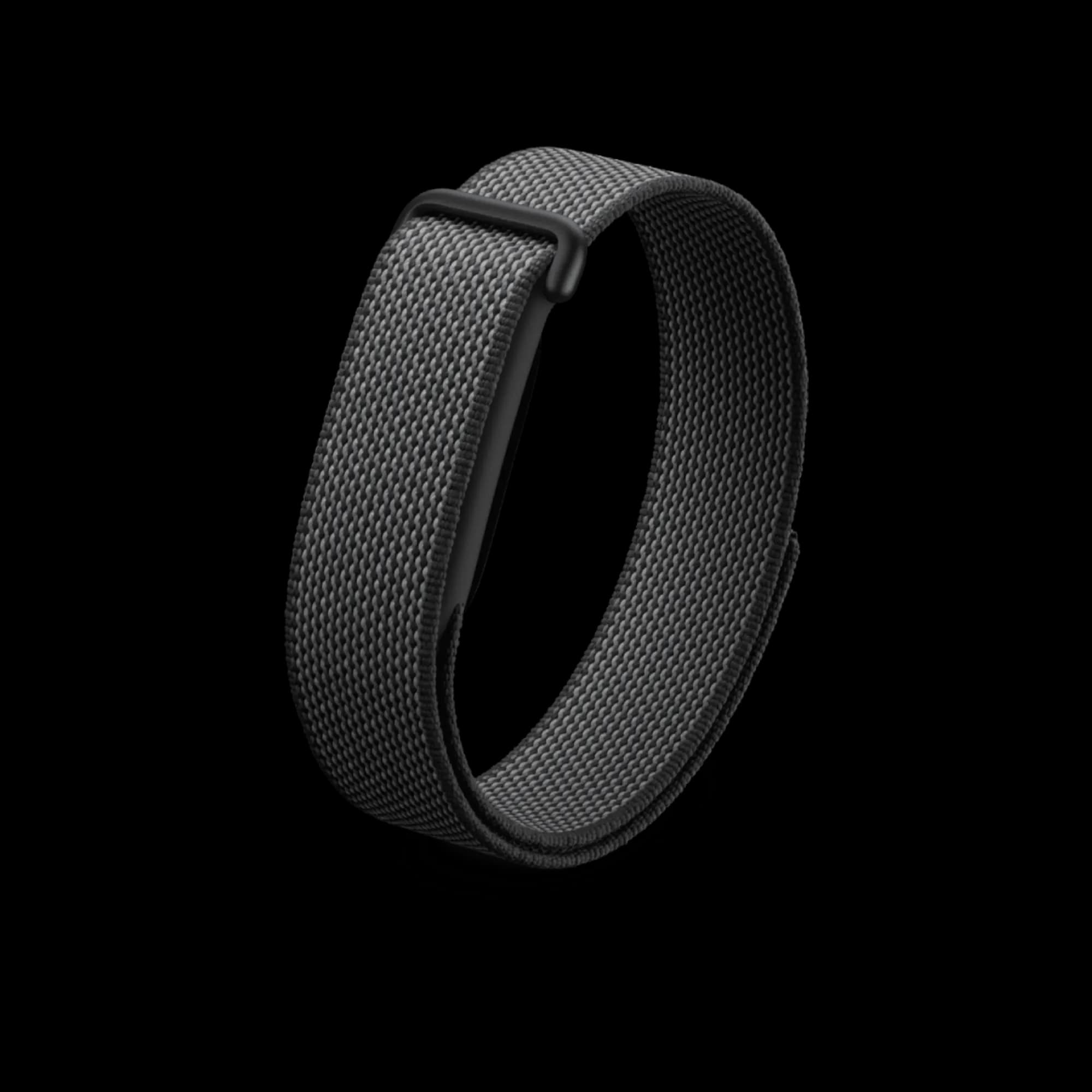 Google Fitbit Air