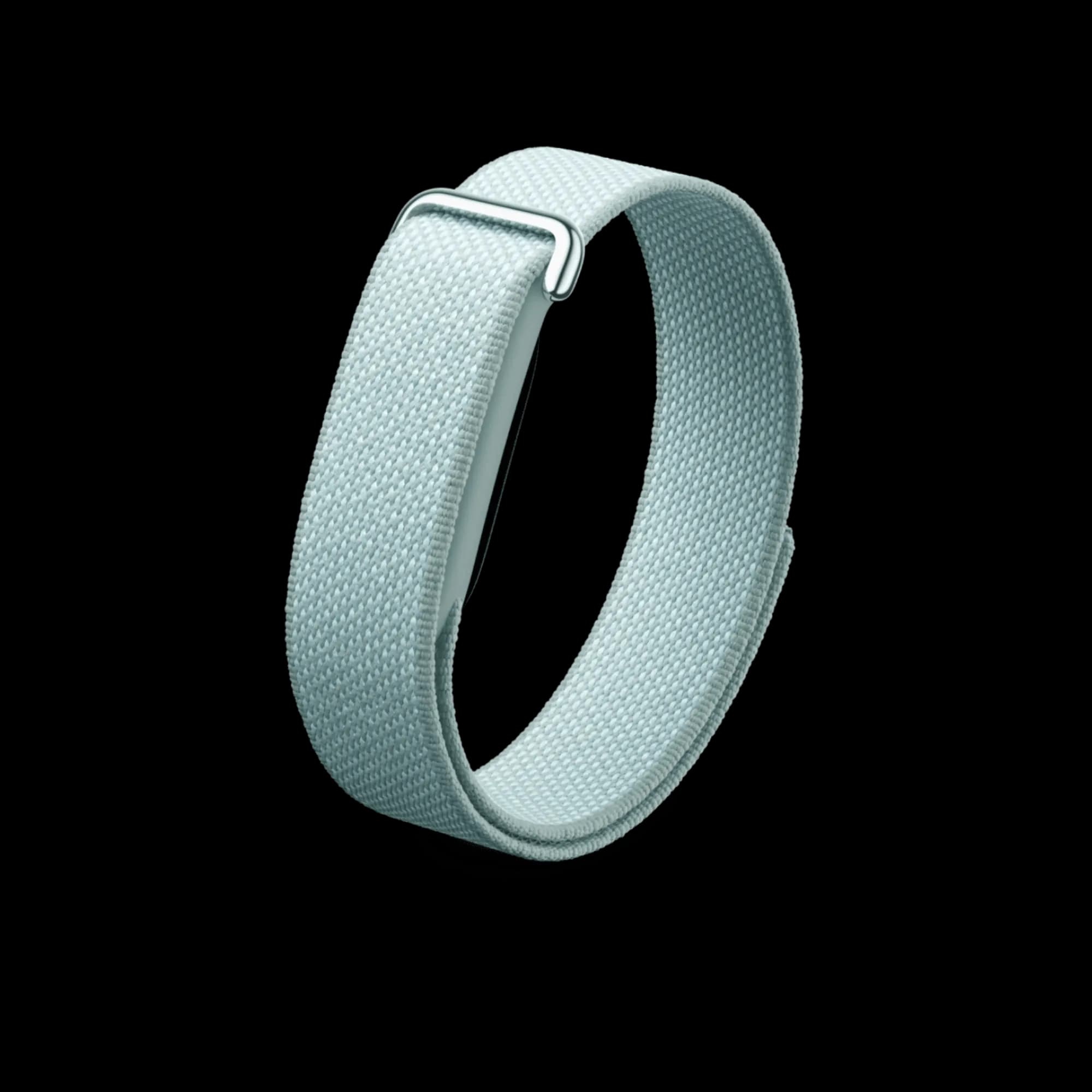 Google Fitbit Air