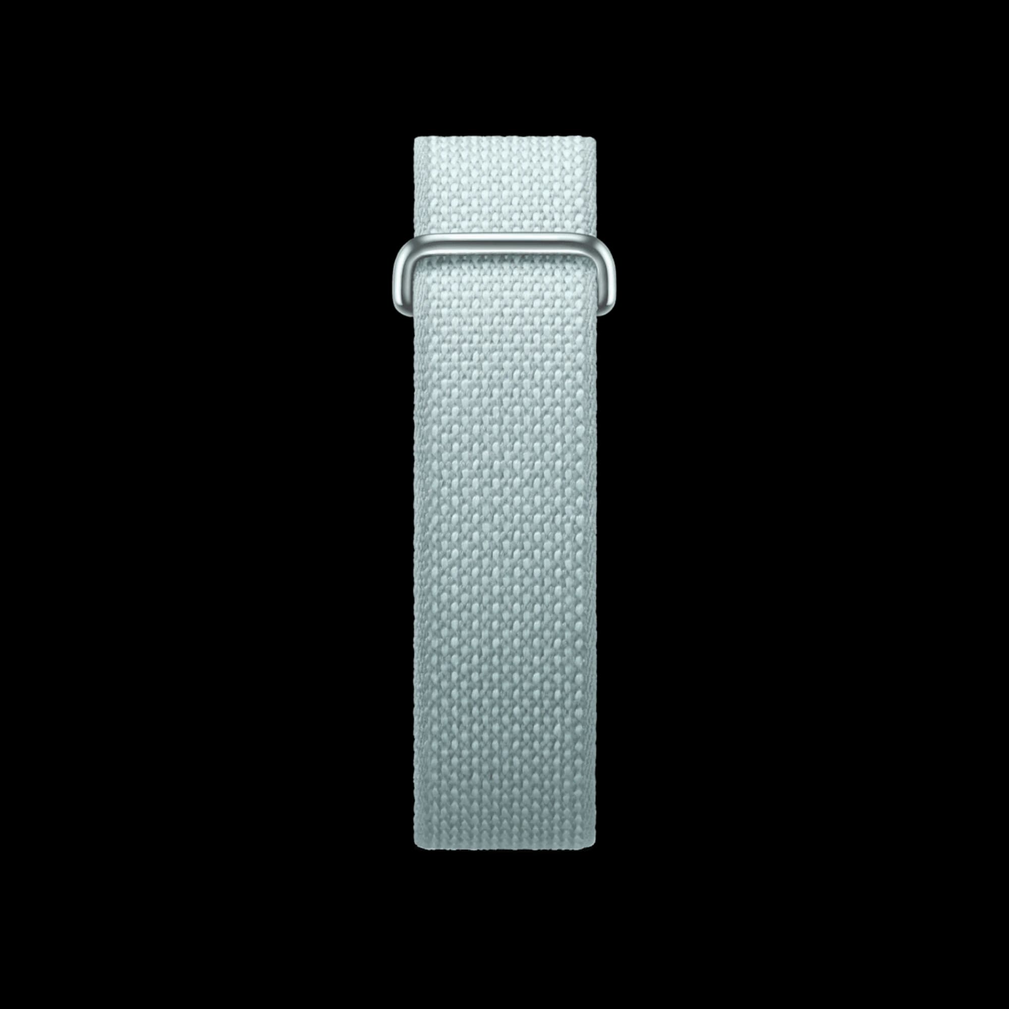 Google Fitbit Air